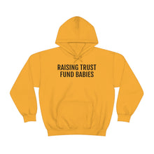 Load image into Gallery viewer, Raising Trust Fund Babies - Unisex Heavy Blend™ Hooded Sweatshirt - Professional Hoodrat