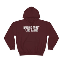 Load image into Gallery viewer, Raising Trust Fund Babies - Unisex Heavy Blend™ Hooded Sweatshirt - Professional Hoodrat