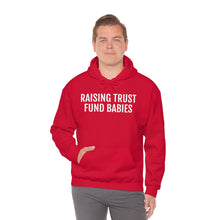 Load image into Gallery viewer, Raising Trust Fund Babies - Unisex Heavy Blend™ Hooded Sweatshirt - Professional Hoodrat