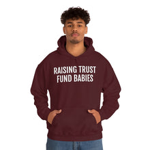 Load image into Gallery viewer, Raising Trust Fund Babies - Unisex Heavy Blend™ Hooded Sweatshirt - Professional Hoodrat