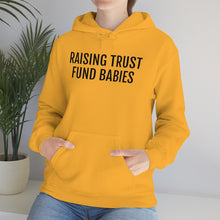 Load image into Gallery viewer, Raising Trust Fund Babies - Unisex Heavy Blend™ Hooded Sweatshirt - Professional Hoodrat