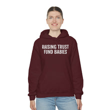 Load image into Gallery viewer, Raising Trust Fund Babies - Unisex Heavy Blend™ Hooded Sweatshirt - Professional Hoodrat