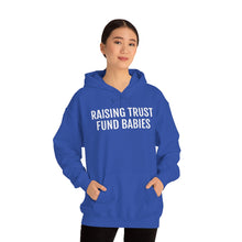 Load image into Gallery viewer, Raising Trust Fund Babies - Unisex Heavy Blend™ Hooded Sweatshirt - Professional Hoodrat