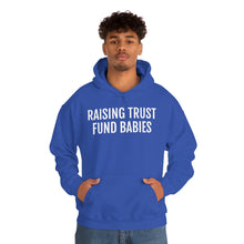 Load image into Gallery viewer, Raising Trust Fund Babies - Unisex Heavy Blend™ Hooded Sweatshirt - Professional Hoodrat