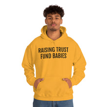 Load image into Gallery viewer, Raising Trust Fund Babies - Unisex Heavy Blend™ Hooded Sweatshirt - Professional Hoodrat