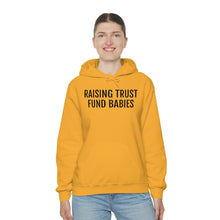 Load image into Gallery viewer, Raising Trust Fund Babies - Unisex Heavy Blend™ Hooded Sweatshirt - Professional Hoodrat
