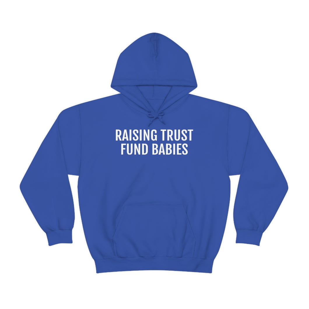 Raising Trust Fund Babies - Unisex Heavy Blend™ Hooded Sweatshirt - Professional Hoodrat