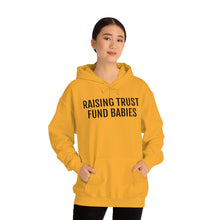 Load image into Gallery viewer, Raising Trust Fund Babies - Unisex Heavy Blend™ Hooded Sweatshirt - Professional Hoodrat
